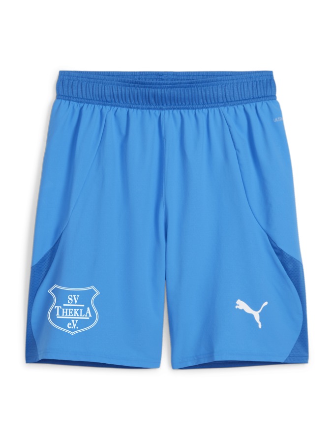 PUMA teamFINAL Shorts