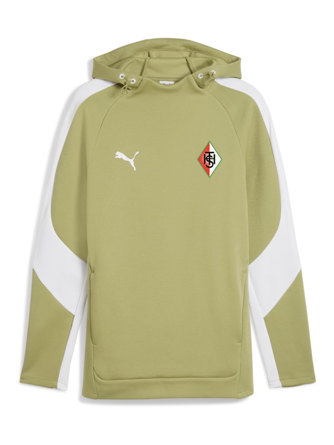 PUMA teamEVOSTRIPE Hoody