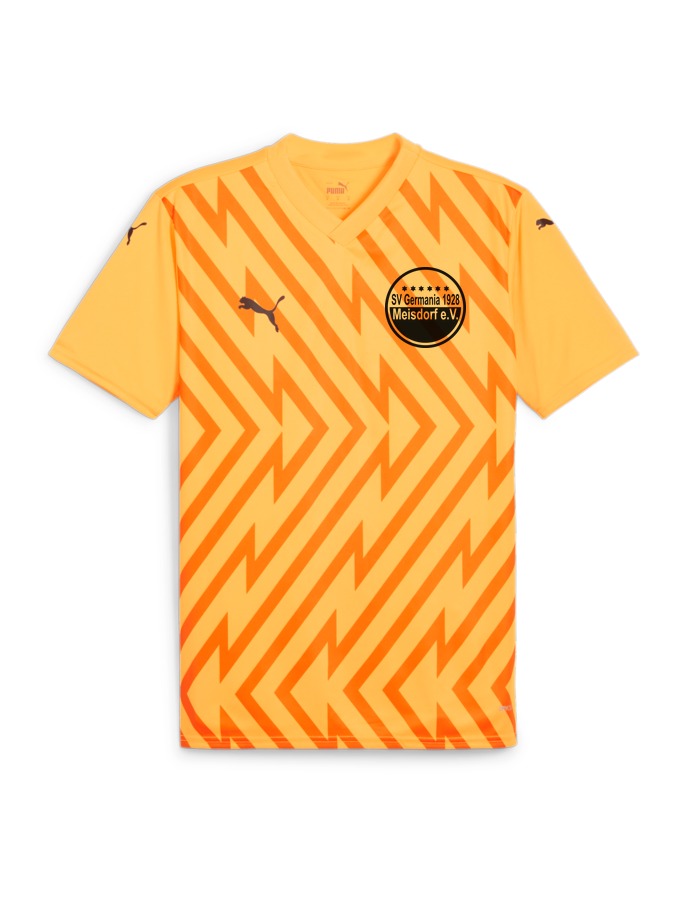 PUMA teamGLORY Trikot