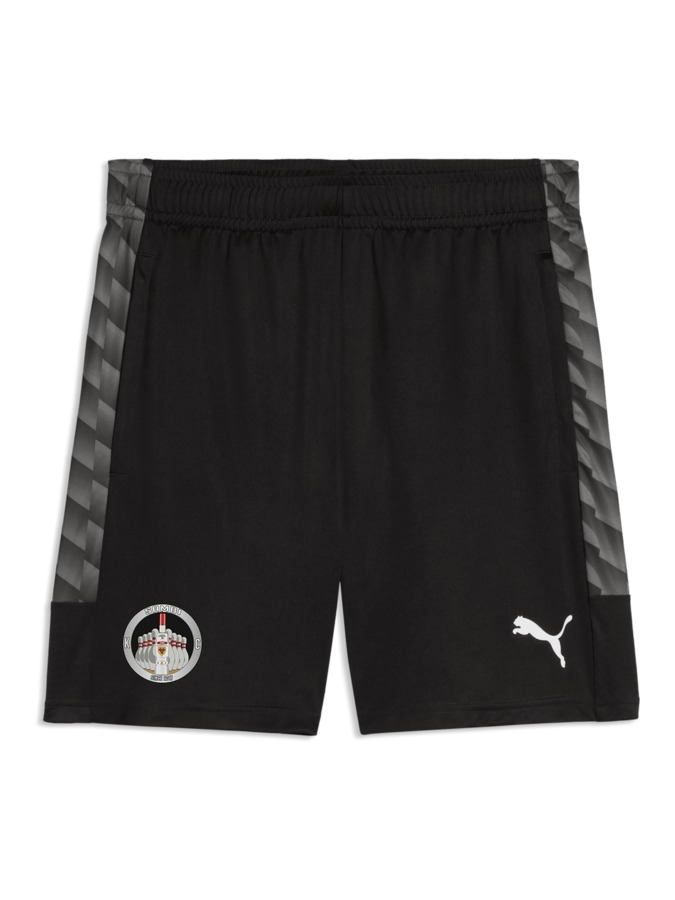 PUMA teamLIGA26 Training Shorts