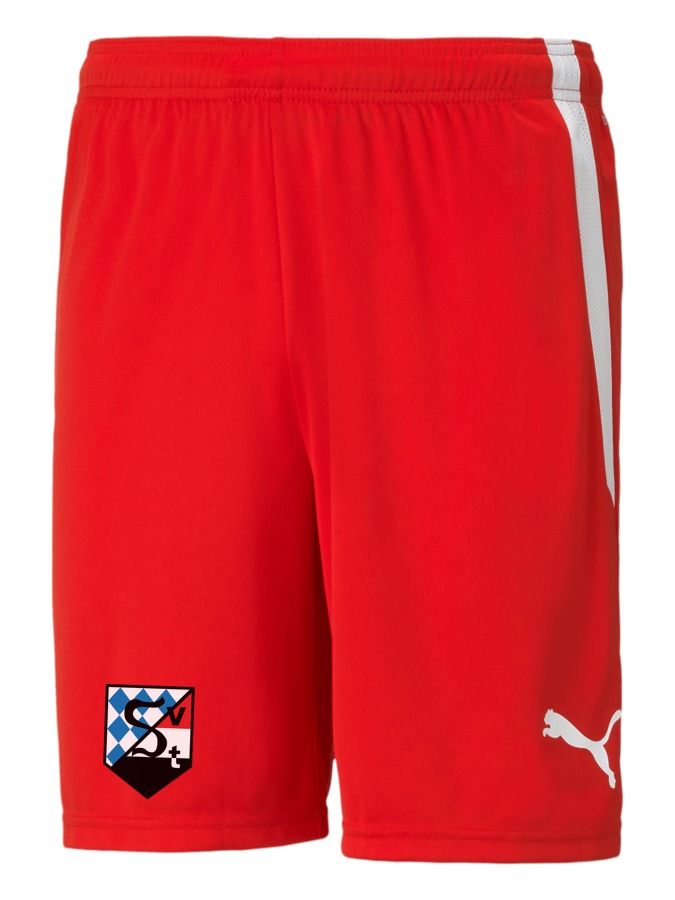 PUMA teamLIGA Shorts