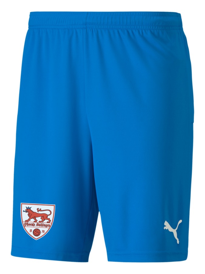 PUMA teamGOAL 23 Knit Shorts