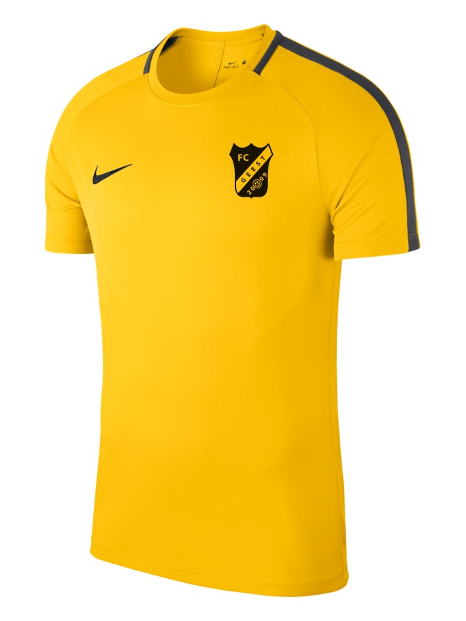 Nike Academy 18 Top