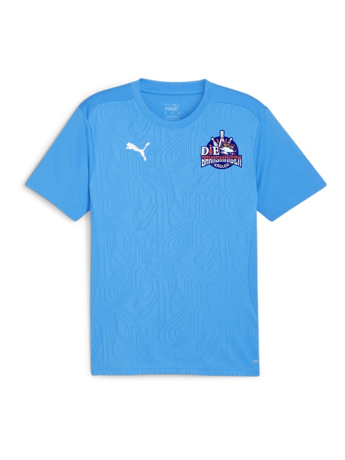 PUMA teamFINAL Trainingsshirt