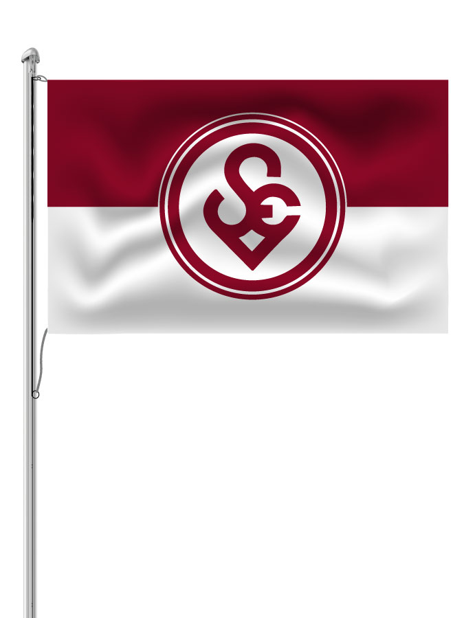 Hissfahne Logo