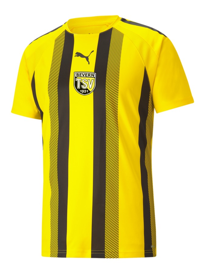 PUMA teamLIGA Striped Trikot