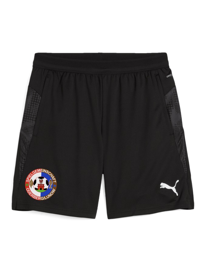 PUMA teamCUP Training Shorts
