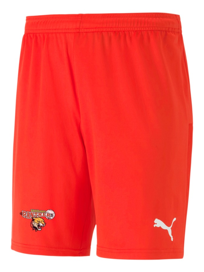 PUMA teamGOAL 23 Knit Shorts