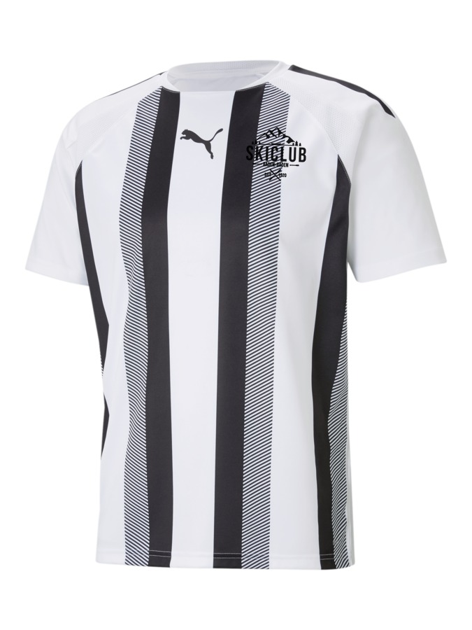 PUMA teamLIGA Striped Trikot