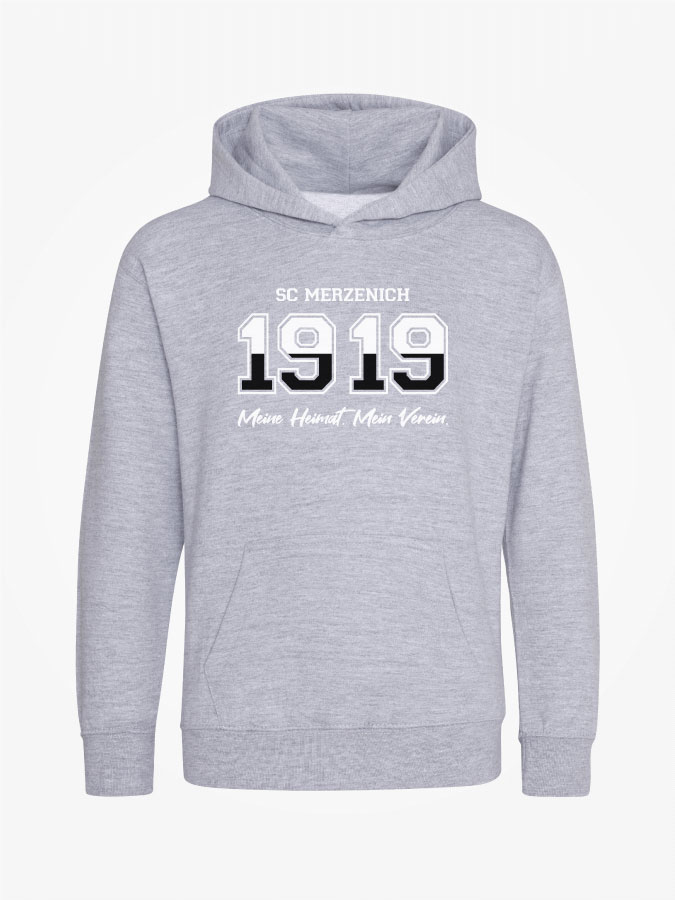 Hoodie Established Kids