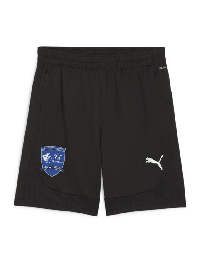 PUMA teamFINAL Training Shorts