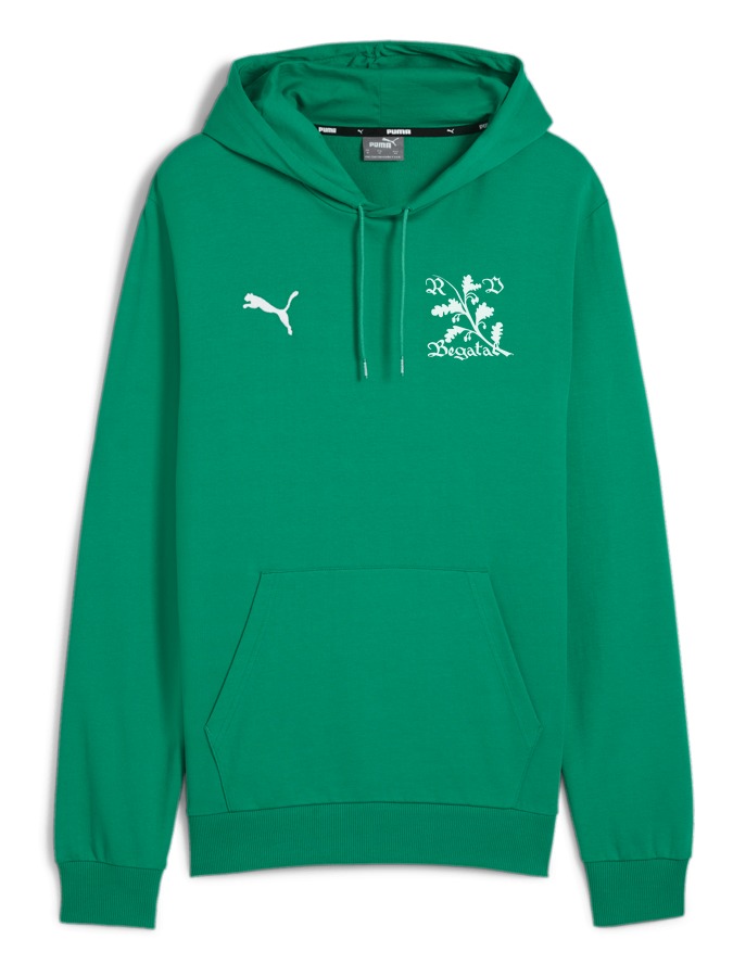 PUMA teamGOAL Casuals Hoody