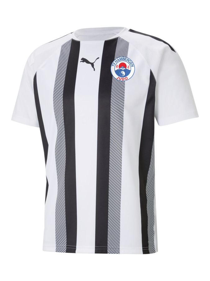 PUMA teamLIGA Striped Trikot