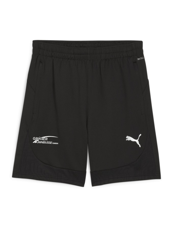 PUMA teamFINAL Training Shorts