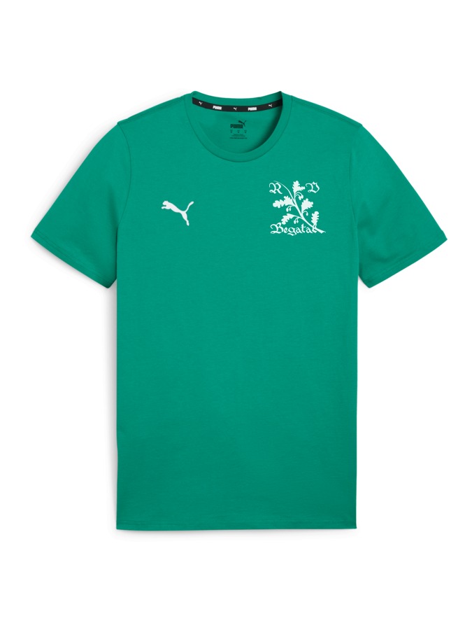 PUMA teamGOAL Casuals T-Shirt