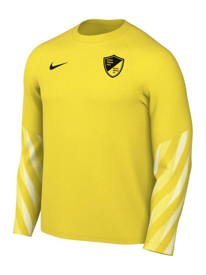 Nike Dri-FIT Park V Torwart Trikot Langarm