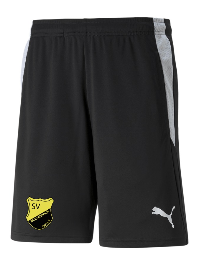 PUMA teamLIGA Referee Shorts