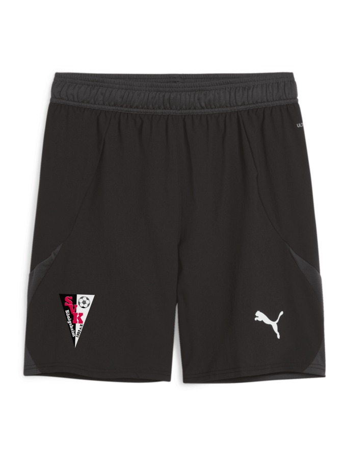 PUMA teamFINAL Shorts