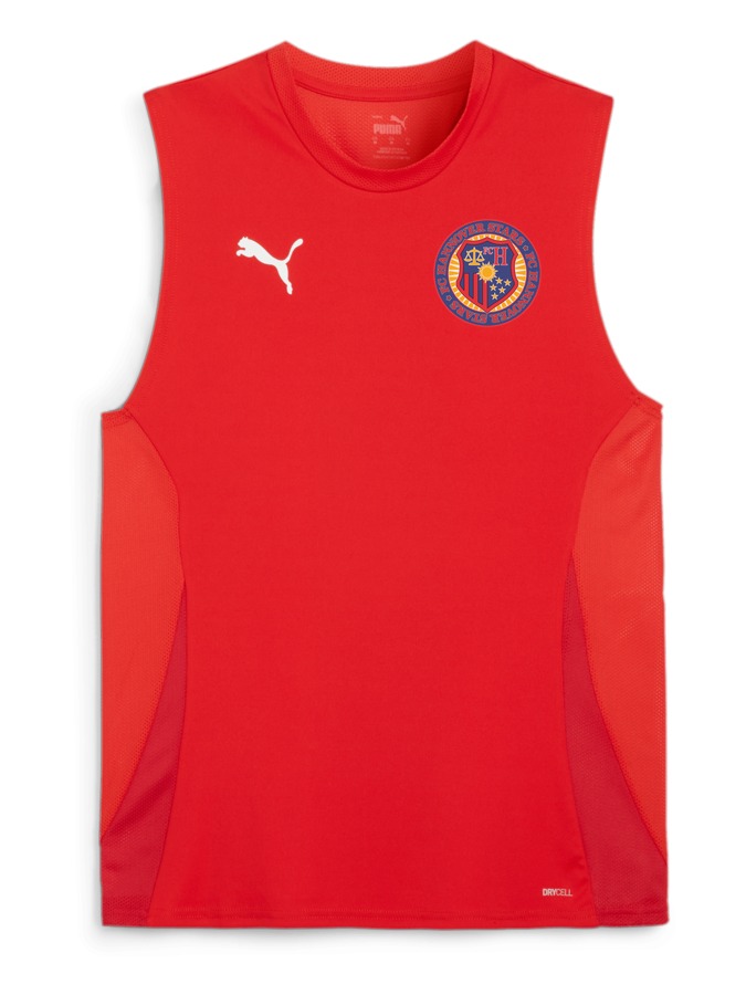 PUMA teamGOAL Sleeveless Trikot