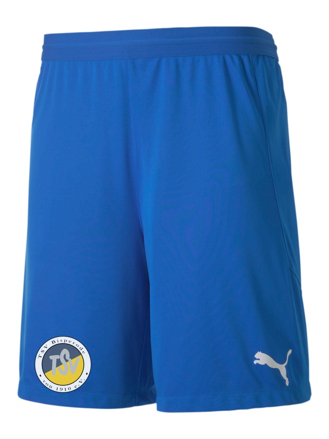 PUMA teamFINAL 21 Knit Shorts