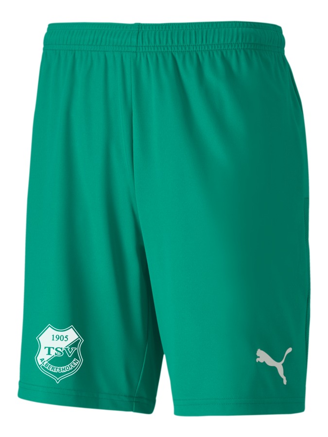 PUMA teamGOAL 23 Knit Shorts