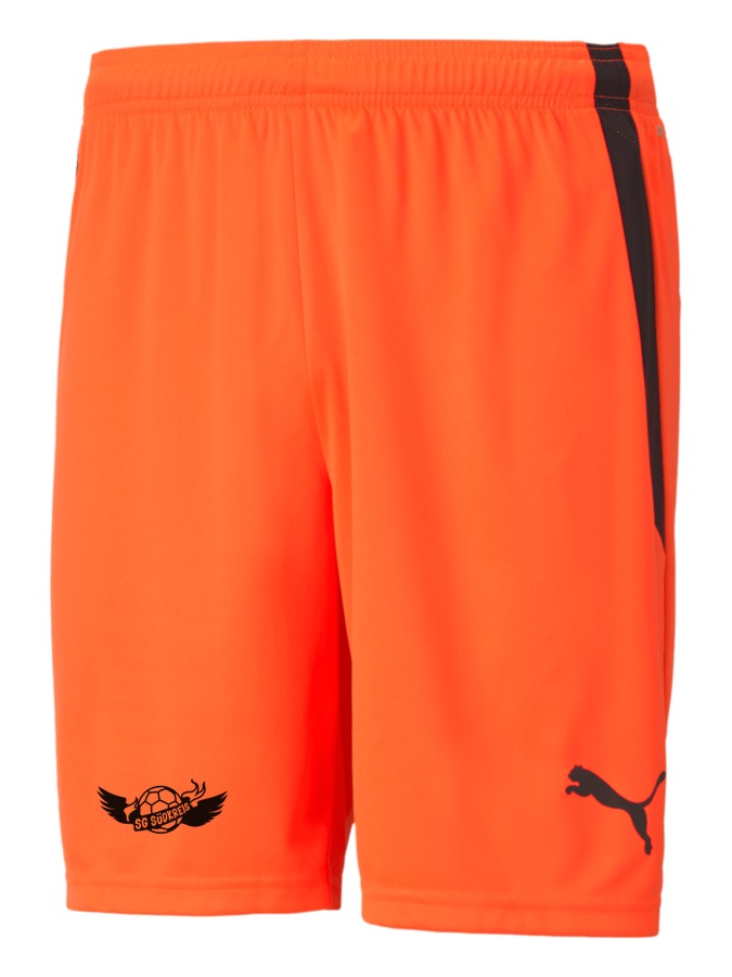 PUMA teamLIGA Shorts