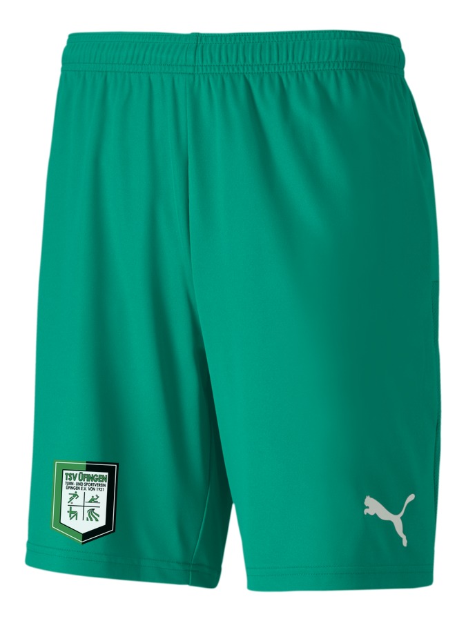 PUMA teamGOAL 23 Knit Shorts