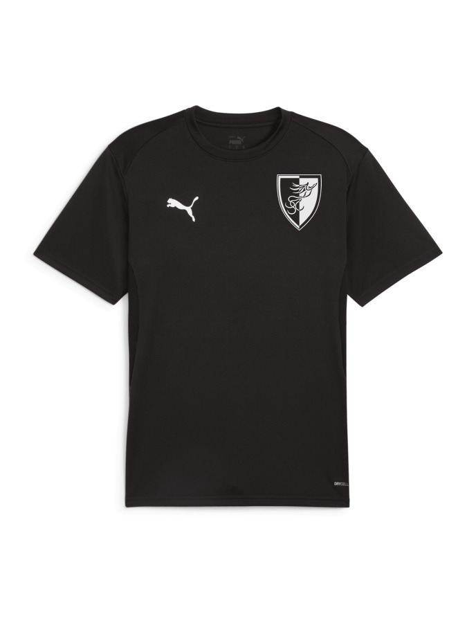 PUMA teamGOAL Trikot