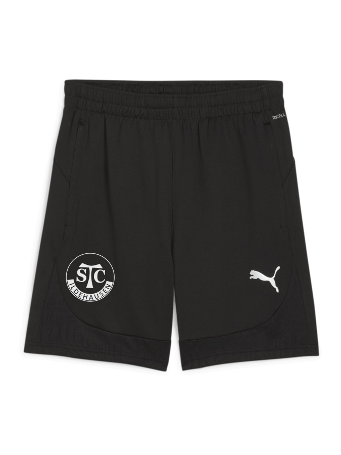 PUMA teamFINAL Training Shorts