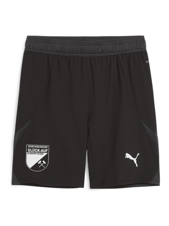 PUMA teamFINAL Shorts