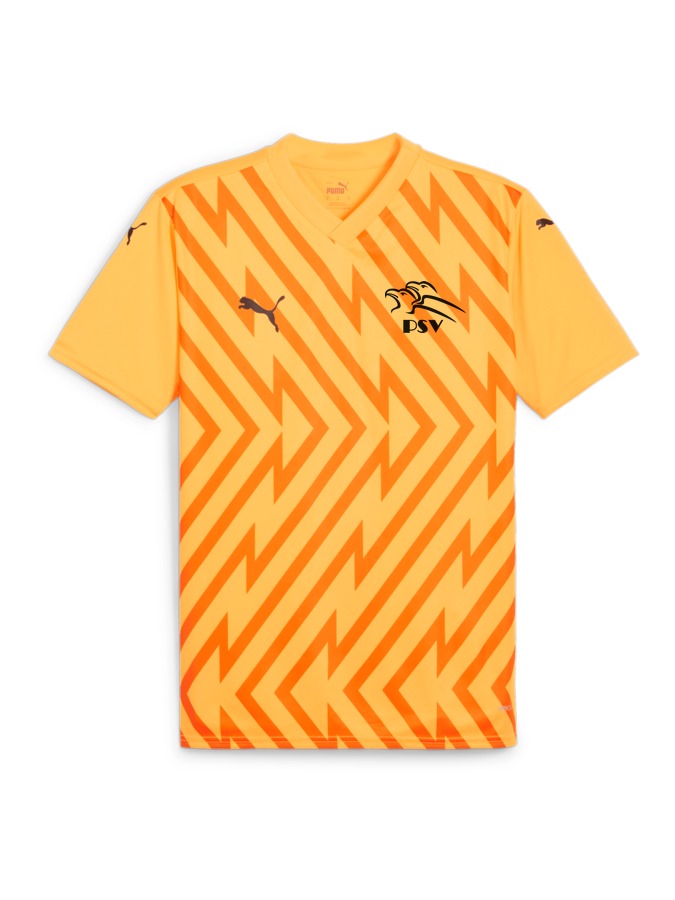 PUMA teamGLORY Trikot