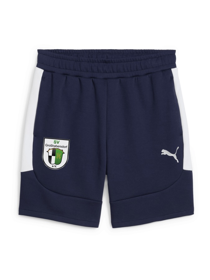 PUMA teamEVOSTRIPE Shorts