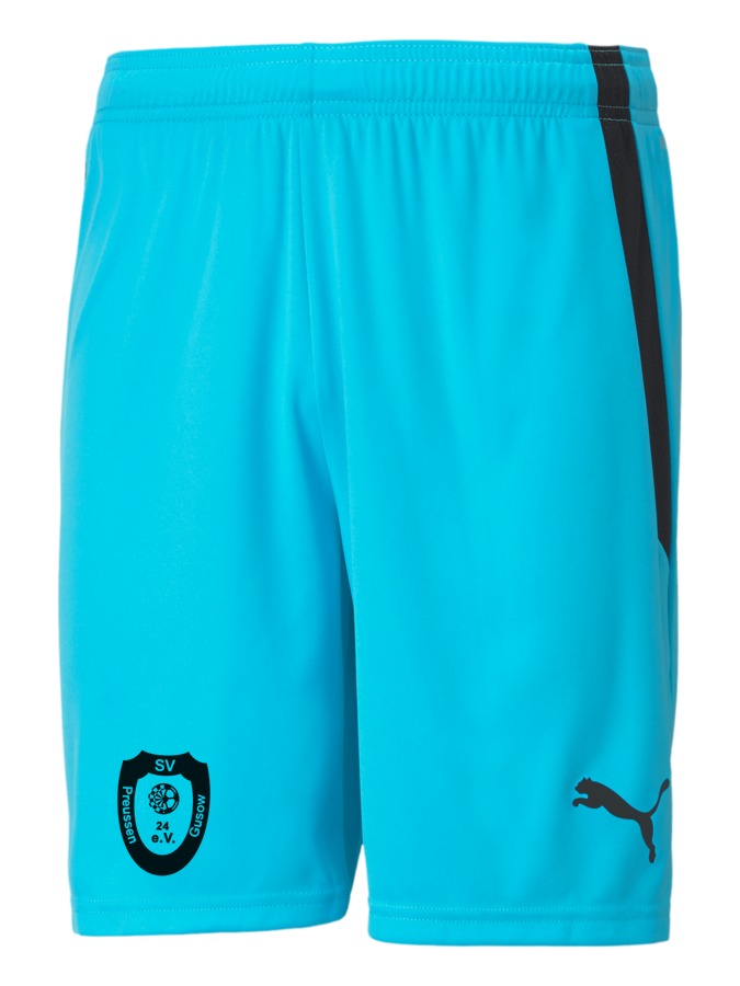 PUMA teamLIGA Shorts