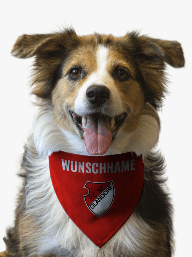 Hundehalstuch