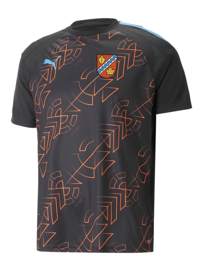 PUMA teamLIGA Graphic Trikot