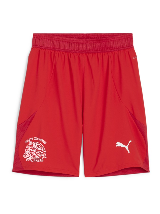 PUMA teamFINAL Shorts