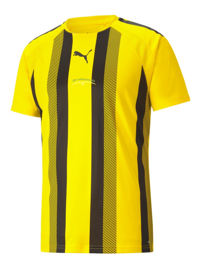 PUMA teamLIGA Striped Trikot