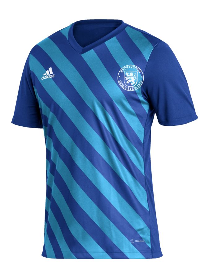 adidas Entrada 22 GFX Trikot