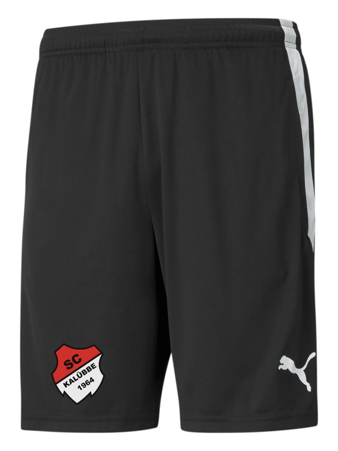 PUMA teamLIGA Training Shorts