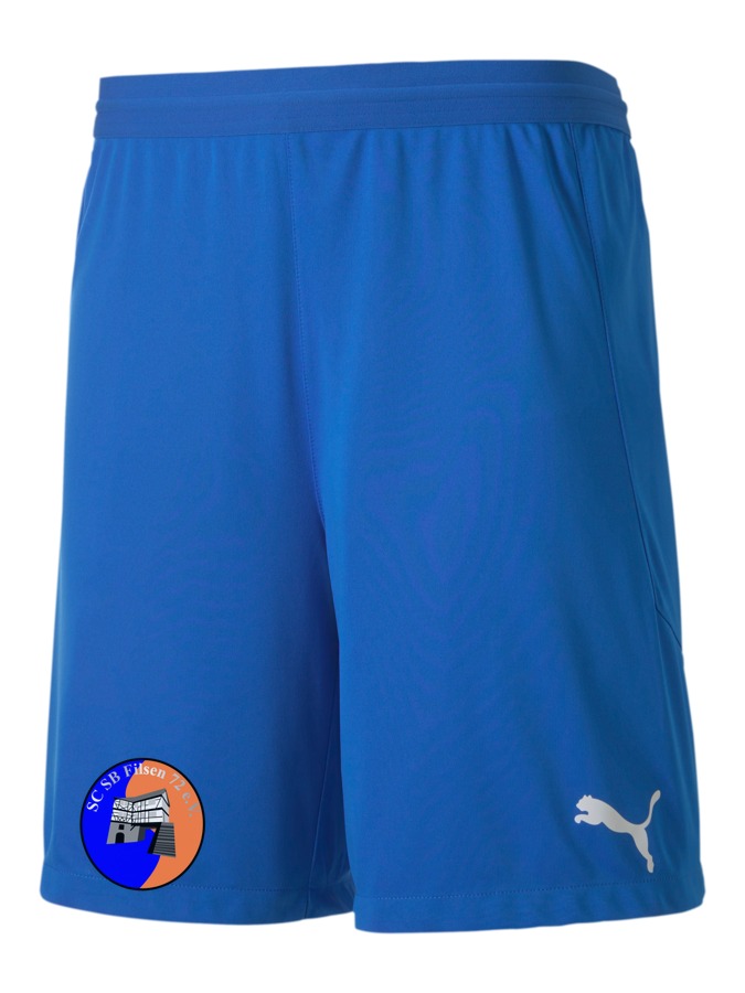 PUMA teamFINAL 21 Knit Shorts