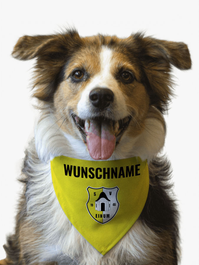 Hundehalstuch