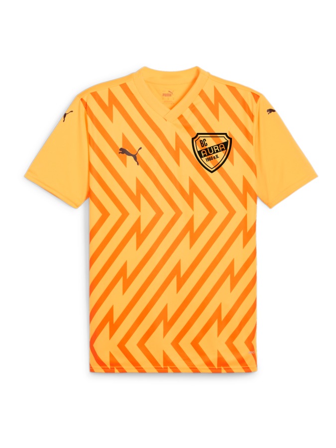 PUMA teamGLORY Trikot