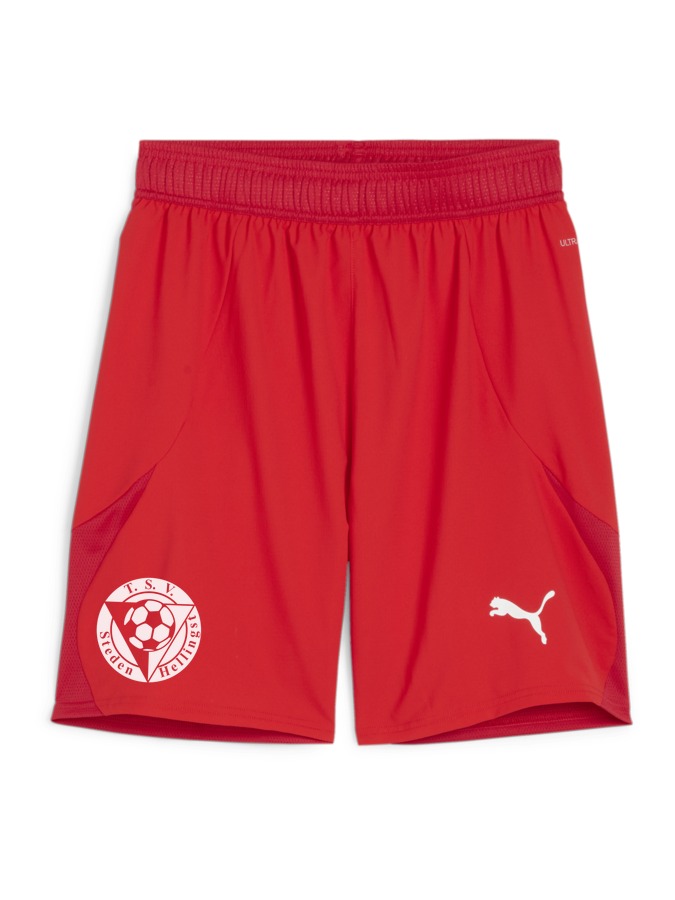 PUMA teamFINAL Shorts