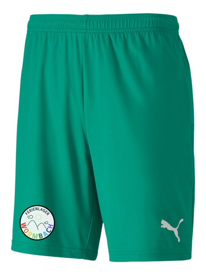 PUMA teamGOAL 23 Knit Shorts