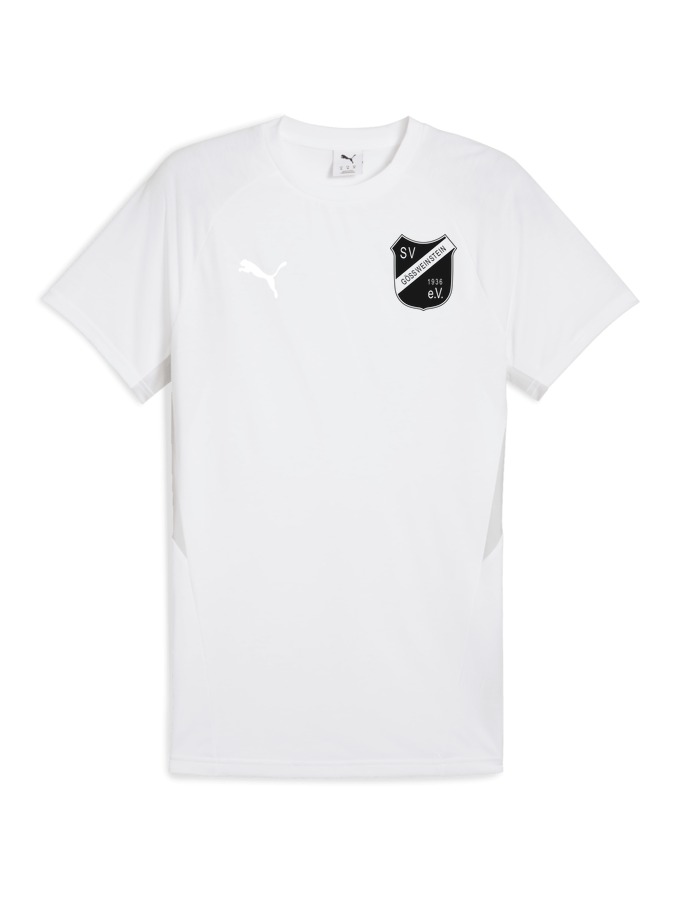 PUMA teamEVOSTRIPE T-Shirt