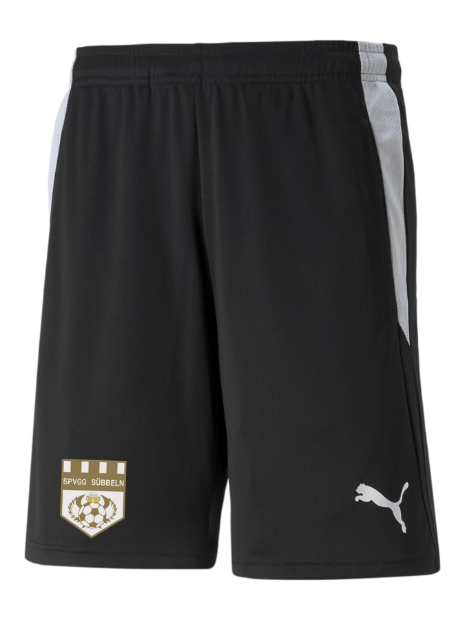 PUMA teamLIGA Referee Shorts