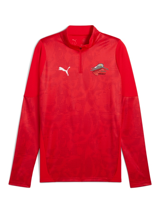 PUMA teamCUP Training 1/4-Zip-Top