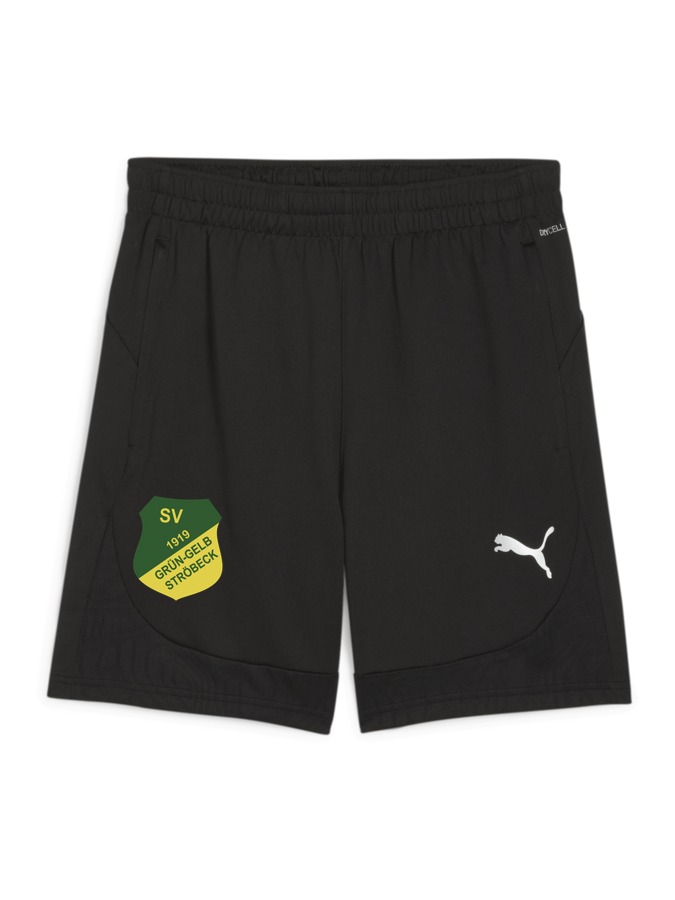 PUMA teamFINAL Training Shorts