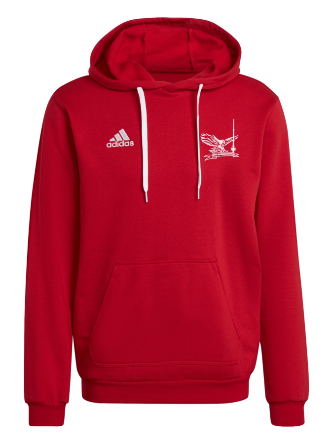adidas Entrada 22 Hoodie