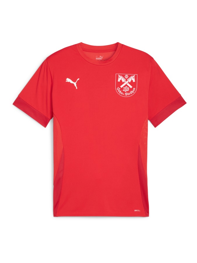 PUMA teamGOAL Matchday Trikot